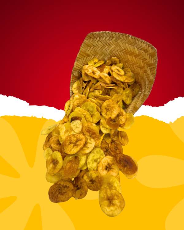 #A05D6E (4) Pazham Chips Round